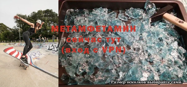 прущие грибы Вяземский
