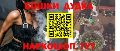 гашик Можга