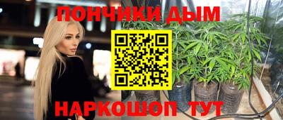 гашик Можга